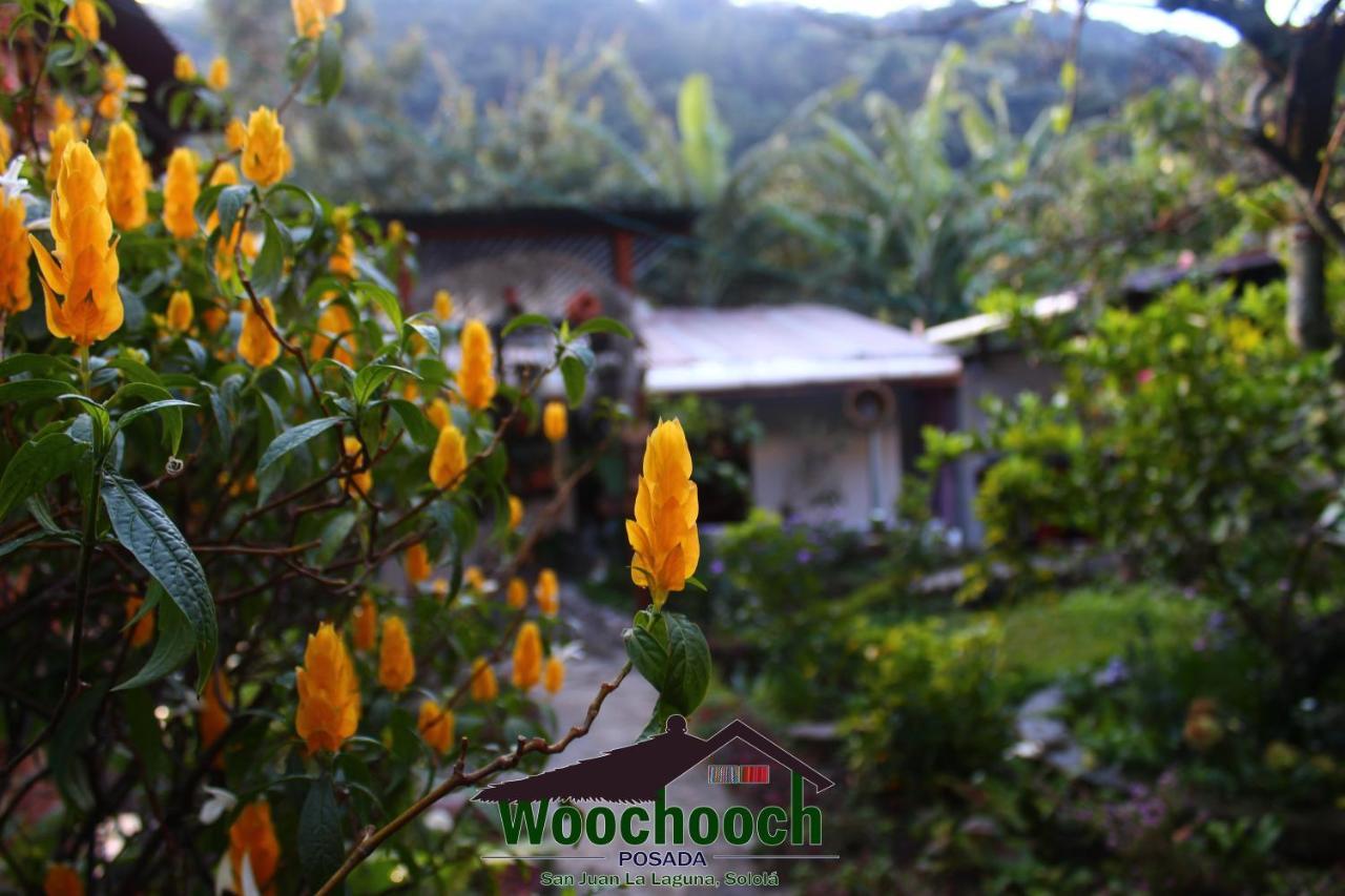 Posada Woochooch 圣胡安拉拉古纳 外观 照片